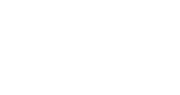 University of Pisa